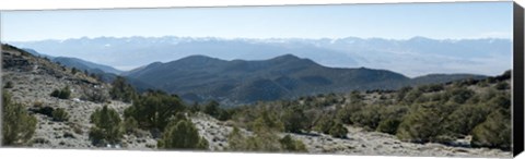 Framed Mountain range, White Mountains, Eastern Sierra, Bishop, Inyo County, California, USA Print