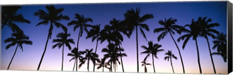 Framed Silhouettes of palm trees at sunset Print