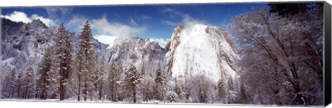 Framed Snowy trees with rocks in winter, Cathedral Rocks, Yosemite National Park, California, USA Print