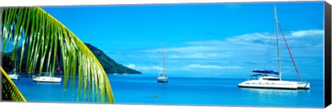 Framed Sailboats in the ocean, Tahiti, Society Islands, French Polynesia (horizontal) Print