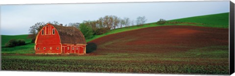 Framed Red Barn in a Field at Sunset, Washington State, USA Print