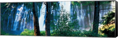 Framed Waterfall in a forest, McArthur-Burney Falls Memorial State Park, California Print