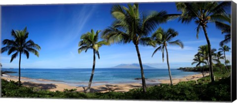 Framed Palm trees on the beach, Maui, Hawaii, USA Print