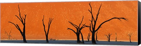 Framed Dead trees by red sand dunes, Dead Vlei, Namib-Naukluft National Park, Namibia Print