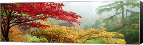 Framed Red &amp; Yellow Trees in Butchart Gardens, Vancouver Island, British Columbia, Canada Print