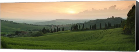 Framed Trees on a hill, Monticchiello Di Pienza, Val d&#39;Orcia, Siena Province, Tuscany, Italy Print