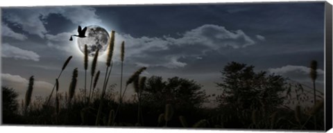 Framed Stork with a baby flying over moon Print