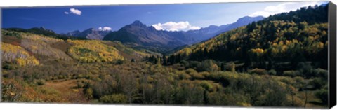 Framed Trees on mountains, State Highway 62, Ridgway, Colorado, USA Print