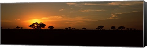 Framed Sunset over the savannah plains, Kruger National Park, South Africa Print