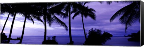 Framed Palm trees on the coast, Colombia (purple horizontal) Print