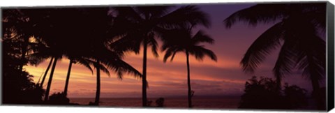 Framed Palm trees on the coast, Colombia (pink sky) Print