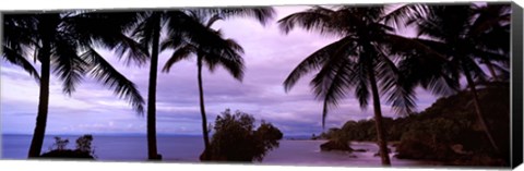 Framed Palm trees on the coast, Colombia (purple sky with clouds) Print