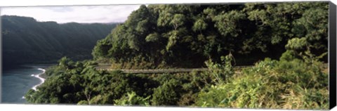 Framed Hana Highway, Maui, Hawaii Print