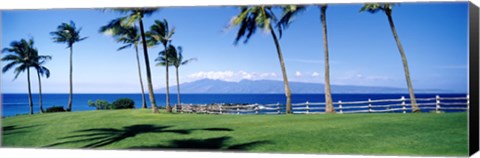 Framed Palm trees at the coast, Ritz Carlton Hotel, Kapalua, Molokai, Maui, Hawaii, USA Print