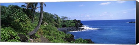 Framed Palm trees with plants growing at a coast, Black Sand Beach, Hana Highway, Waianapanapa State Park, Maui, Hawaii, USA Print