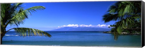 Framed Palm trees on the beach, Kapalua Beach, Molokai, Maui, Hawaii, USA Print