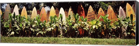 Framed Surfboard fence in a garden, Maui, Hawaii, USA Print