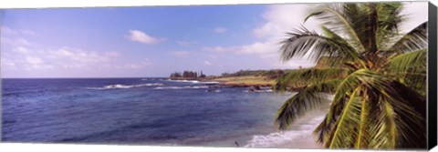 Framed Palm tree on the beach, Hamoa Beach, Hana, Maui, Hawaii, USA Print