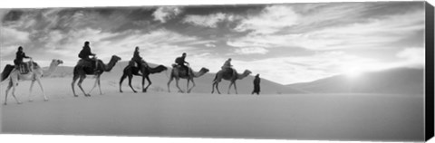 Framed Tourists riding camels through the Sahara Desert landscape led by a Berber man, Morocco (black and white) Print