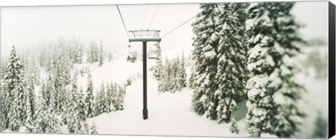 Framed Chair lift and snowy evergreen trees at Stevens Pass, Washington State, USA Print