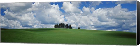 Framed Trees on the top of a hill, Palouse, Whitman County, Washington State, USA Print