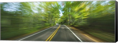 Framed Treelined road viewed from a moving vehicle Print