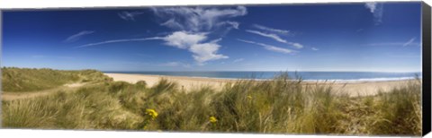 Framed Marram Grass, dunes and beach, Winterton-on-Sea, Norfolk, England Print