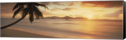 Framed Silhouette of a palm tree on the beach at sunset, La Digue Island, Praslin Island, Seychelles Print