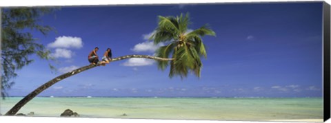 Framed Couple on trunk of a palm tree on the beach, Aitutaki, Cook Islands Print