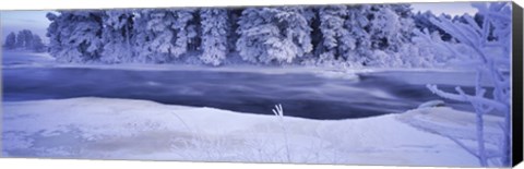 Framed River flowing through a snow covered forest, Dal River, Sweden Print