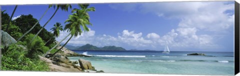 Framed Palm trees on the beach, Anse Severe, La Digue Island, Praslin Island, Seychelles Print