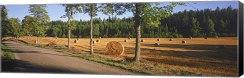 Framed Hay bales in a field, Flens, Sweden Print