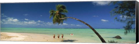 Framed Palm tree extended over the beach, Aitutaki, Cook Islands Print