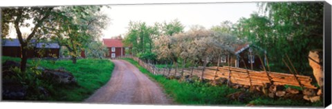 Framed Dirt road leading to farmhouses, Stensjoby, Smaland, Sweden Print