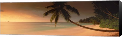 Framed Silhouette of a palm tree on the beach at sunset, Anse Severe, La Digue Island, Seychelles Print