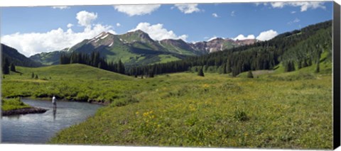 Framed Man fly-fishing in Slate River, Crested Butte, Gunnison County, Colorado, USA Print