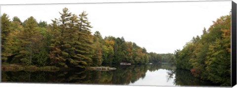 Framed Reflection of trees in the Musquash River, Muskoka, Ontario, Canada Print