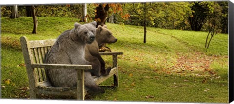 Framed Bears sitting on a bench Print