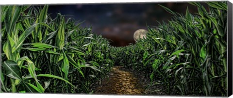 Framed Dark corn field Print