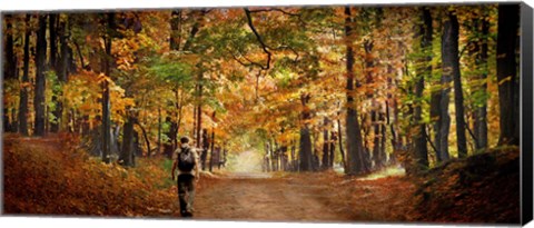 Framed Kid with backpack walking in fall colors Print