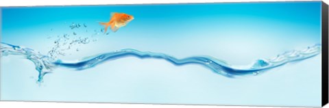 Framed Goldfish jumping out of water Print