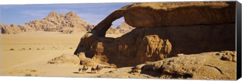 Framed Camels at the eye of the eagle arch, Wadi Rum, Jordan Print