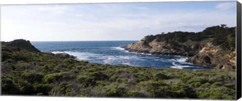 Framed Coastline, Point Lobos State Reserve, Carmel, California Print