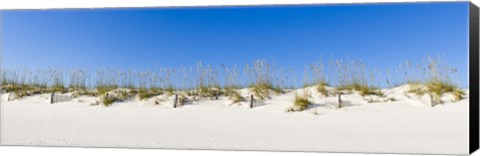 Framed Sand dunes on Gulf Of Mexico, Orange Beach, Baldwin County, Alabama, USA Print