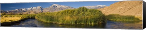 Framed Owens River flowing in front of mountains, Californian Sierra Nevada, Bishop, California, USA Print