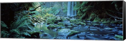 Framed Waterfall in a forest, Hopetown Falls, Great Ocean Road, Otway Ranges National Park, Victoria, Australia Print