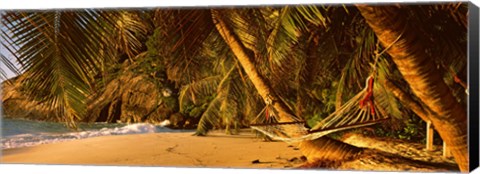 Framed Hammock between two palm trees, Seychelles Print