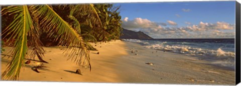 Framed Palm trees on the edge of a small beach, Seychelles Print