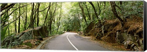 Framed Road passing through an indigenous forest, Mahe Island, Seychelles Print