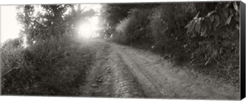 Framed Dirt road through a forest, Chiang Mai Province, Thailand (black and white) Print